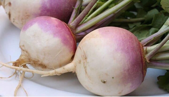 شلغم گران و نایاب شد!