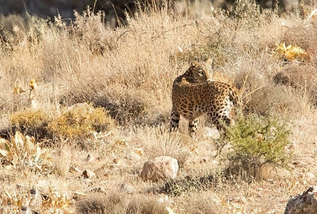 همبستگی دست‌ها برای حیات «بمو»