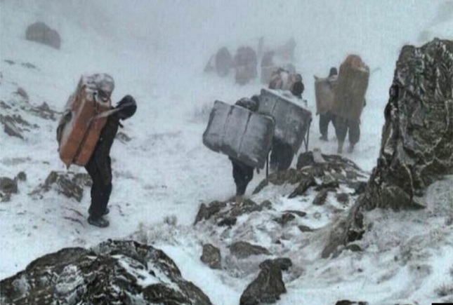 کولبران در طبیعت سخت کولبران در طبیعت سخت