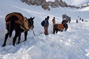 مفقود شدن ۳ هموطن کرد در ارتفاعات مرزی ترکیه/ التماس خانواده‌ها برای ادامه جستجوها و بی‌اعتنایی مسئولان