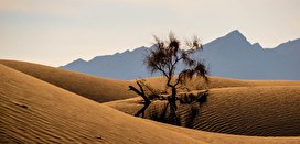 کویر تخت عروس/ تصاویر