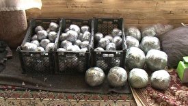 کشف عجیب و خطرناک در تهران!/ فیلم