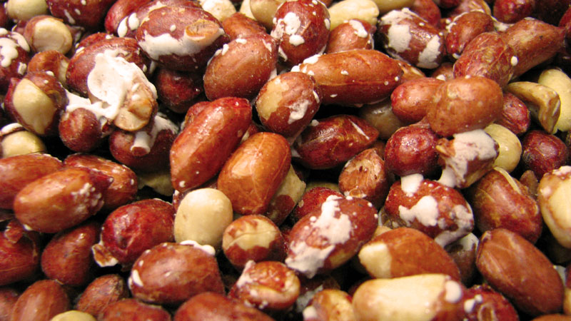 بادام زمینی یک منبع غذایی پر کالری، اما غیر چاق کننده