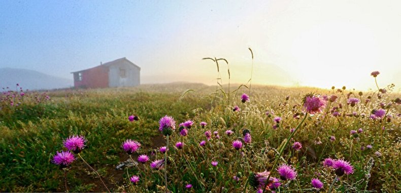 ایران زیباست؛ ییلاق «سلانسر»