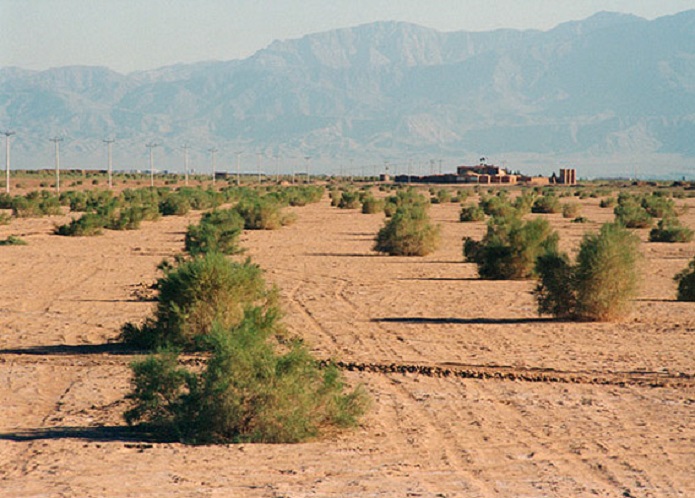 بیابان زایی در ایران