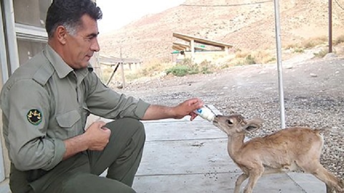 مشکلات زندگی محیط بانان