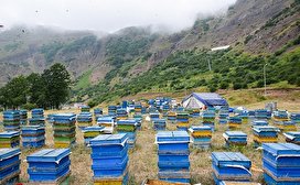 گردنه حیران سرزمین زنبور‌های عسل