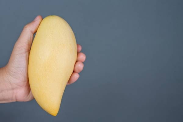 فریز کردن انبه فریز کردن انبه