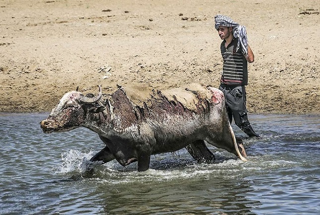 وعده های مسئولین درباره خوزستان