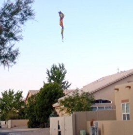 سقوط مرگبار بالن در آمریکا/ فیلم