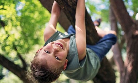 تاثیر درختان بر تکامل مغز کودکان تاثیر درختان بر تکامل مغز کودکان