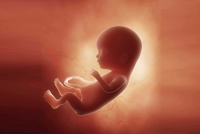  پرداخت دیه جنین دختر