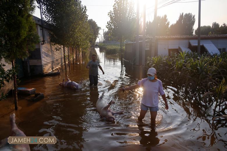 خسارات سیل مرگبار چین/ تصاویر خسارات سیل مرگبار چین/ تصاویر