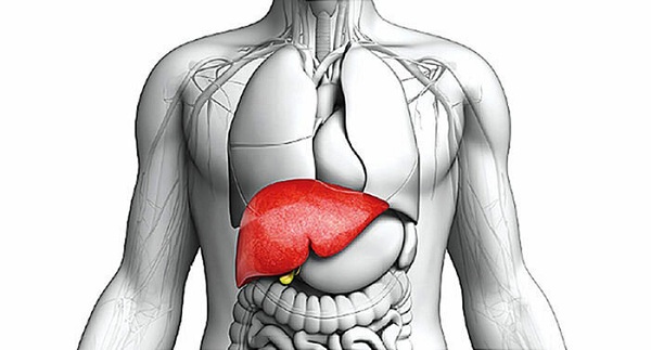  کبد چرب چیست