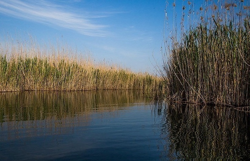 مشکلات تالاب ها