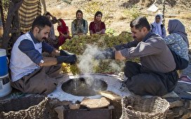 بولاو روش تولید کشمش به قدمت ۱۰۰۰ سال/ تصاویر