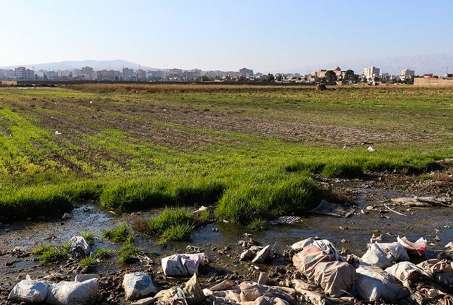 سریال ادامه‌دار یک فاجعه زیست‌محیطی در ساوه