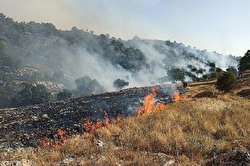 سفیدکوه لرستان در آتش/ فیلم