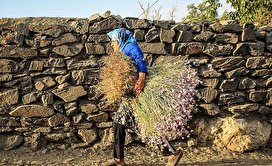 روستای سنگی ورکانه - همدان/ تصاویر
