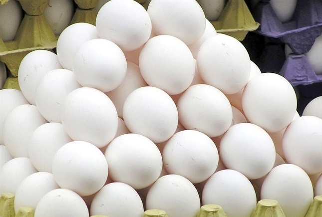تخم مرغ باز هم گران شد تخم مرغ باز هم گران شد