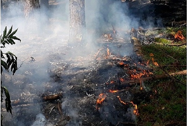 ۲۹۳ هکتار از اراضی میانکاله در سال ۱۴۰۰ سوخت