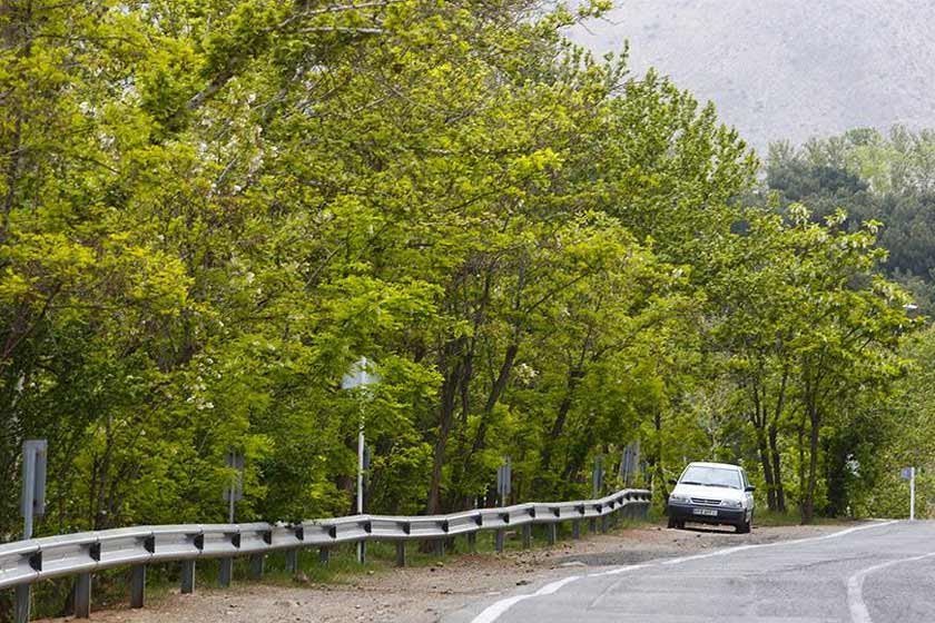 بوستان جنگلی سرخه حصار بازگشایی شد