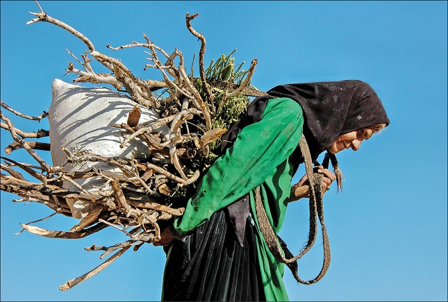 کوله‌بران هیزم