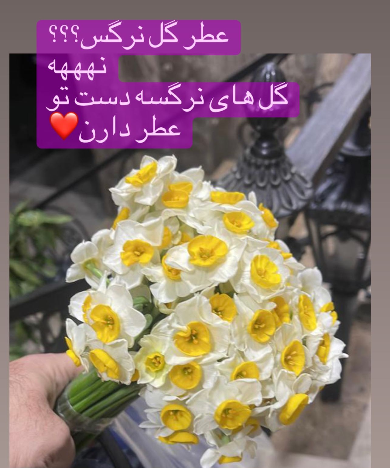 استوری نفیسه روشن  استوری نفیسه روشن