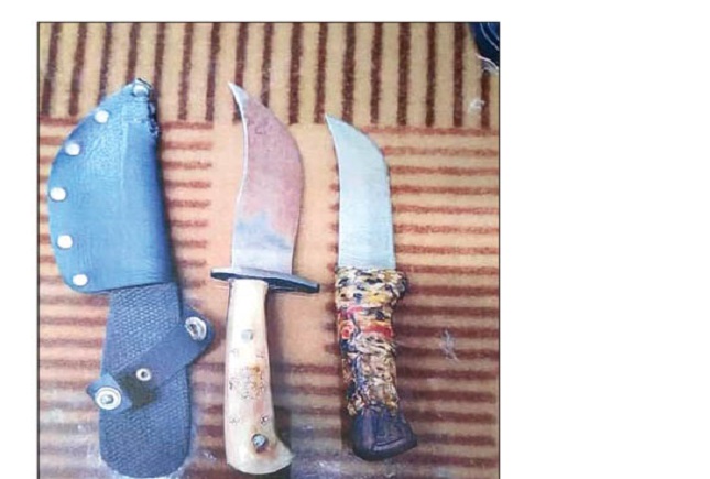 دستگیری خفاش های خون ریز در مشهد خفاش های خون ریز