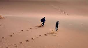 گمشدگان کویر