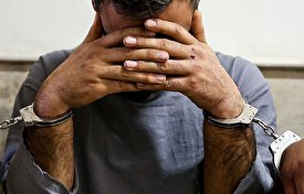 لحظه دستگیری برادر نماینده مجلس و جیغ و داد خانم نماینده!/ فیلم