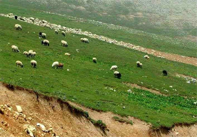  آماده باش نوروزی یگان حفاظت منابع طبیعی استان اردبیل