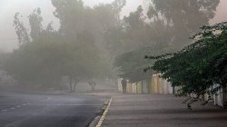 سقوط درخت بر روی ماشین حمل پست / فیلم