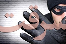 حمله وحشیانه ۴ سارق به پیرزن/ فیلم