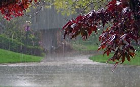 ادامه بارش باران در شمال غرب کشور/ فیلم
