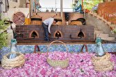 گلابگیری در آب و آتش!/ فیلم