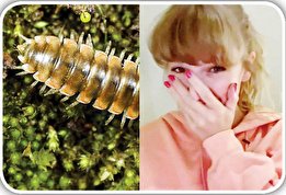 اشتراک-علی-دایی-و-تیلور-سوئیفت اشتراک علی دایی و تیلور سوئیفت