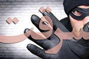 سرقت از سلبریتی‌ها و افراد سرشناس؛ از خانم بازیگر تا آقای وزیر