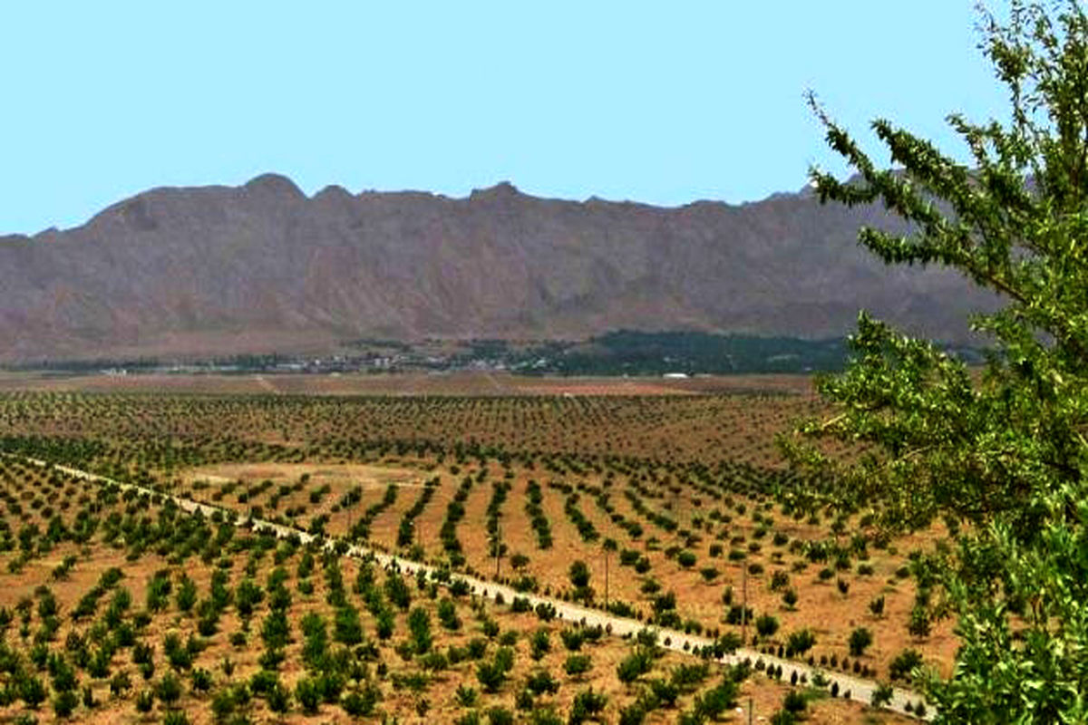 معرفی طبیعت بکر شهرستان شهمیرزاد