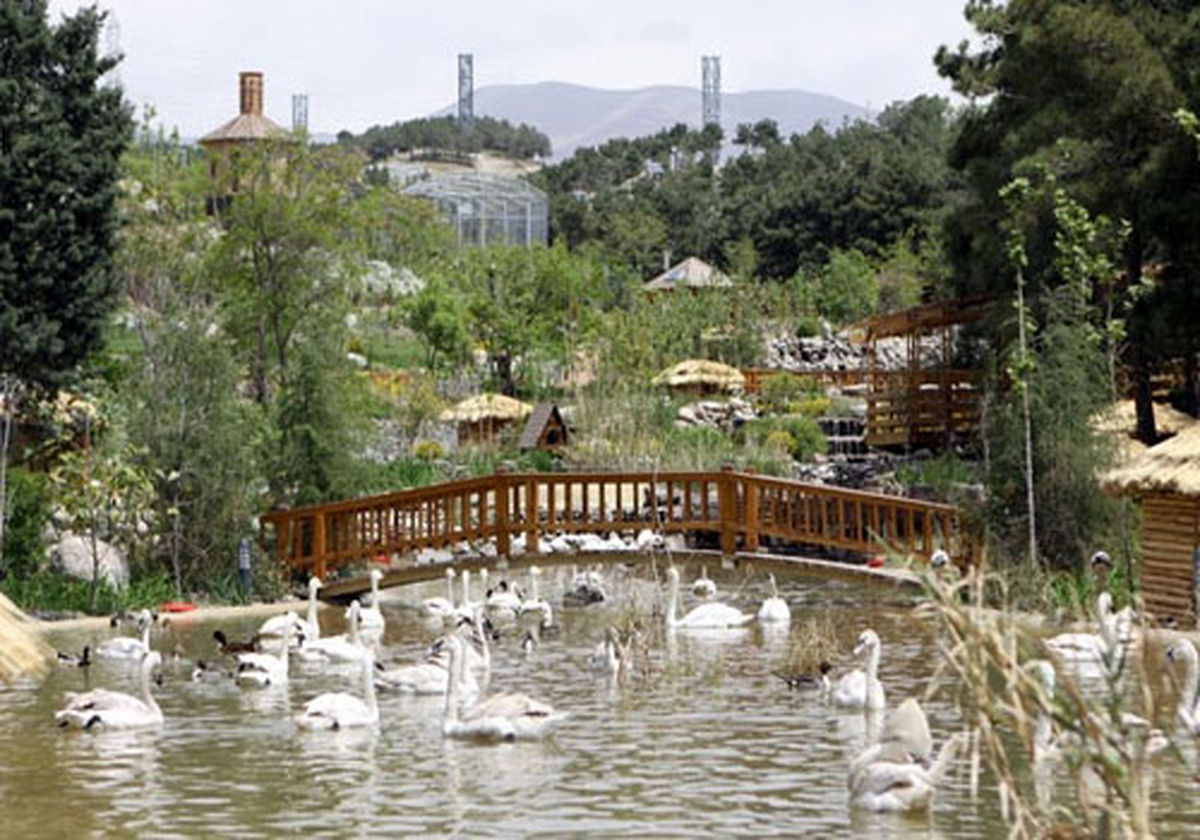 معرفی بزرگ‌ترین باغ پرندگان ایران با انواع مختلف پرندگان