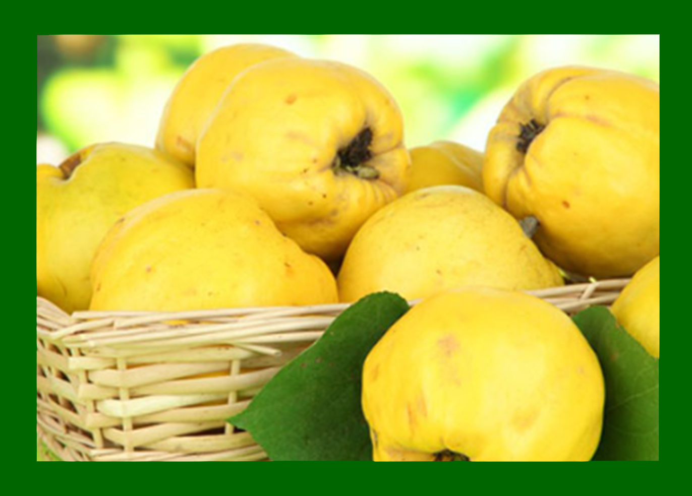 خواص و مضرات میوه به چیست؟