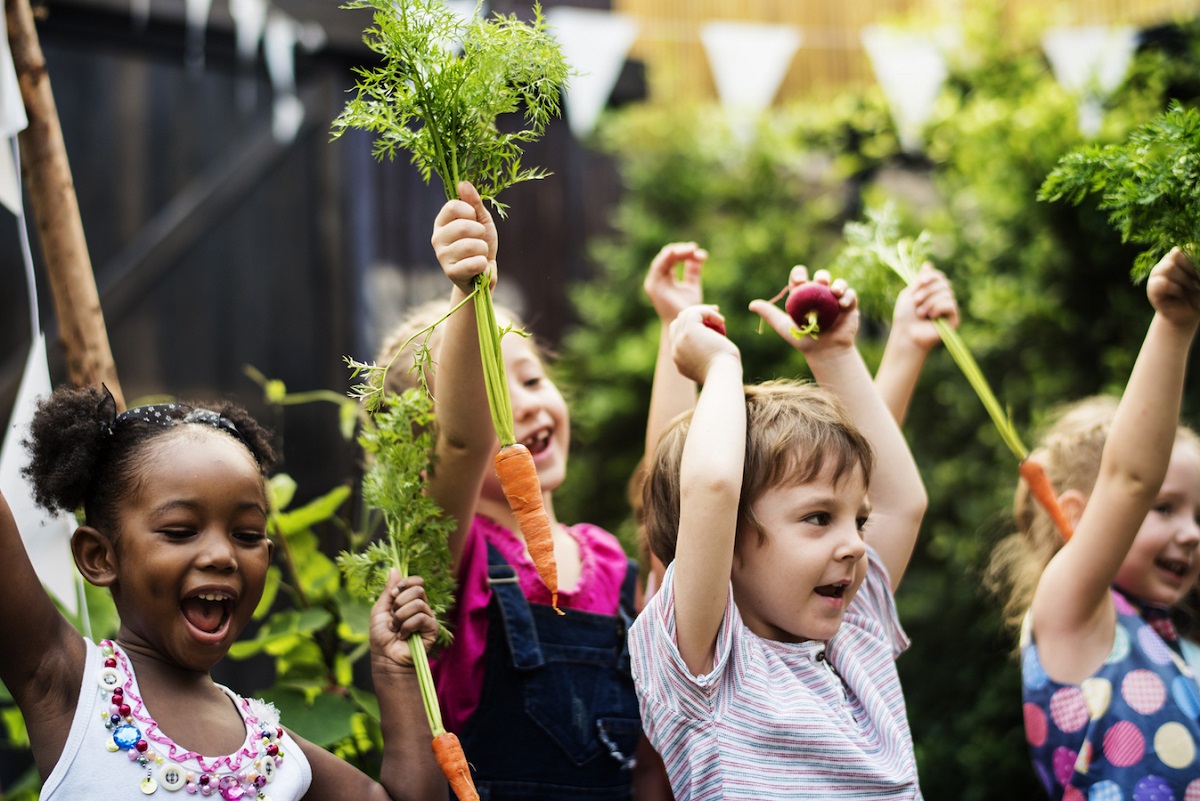 راهکارهای کاهش مصرف غذا‌های فرآوری شده