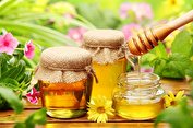 راه‌های-تشخیص-عسل-طبیعی-از-تقلبی