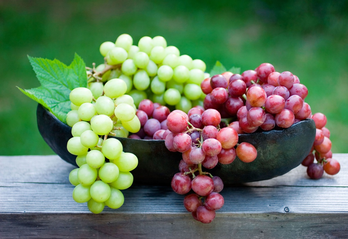 همه خواص انگور ؛ از غوره تا کشمش