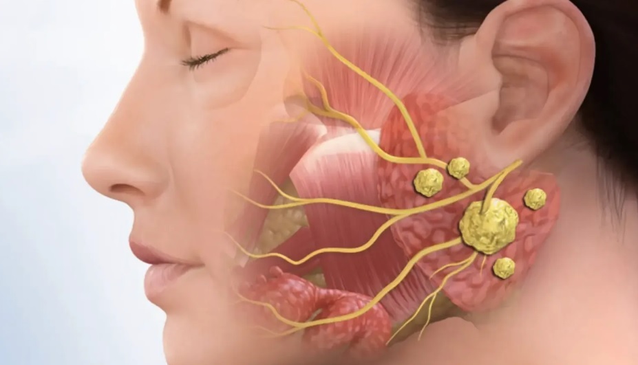 علت ریزش آب دهان در خواب چیست؟ علت ریزش آب دهان در خواب چیست؟