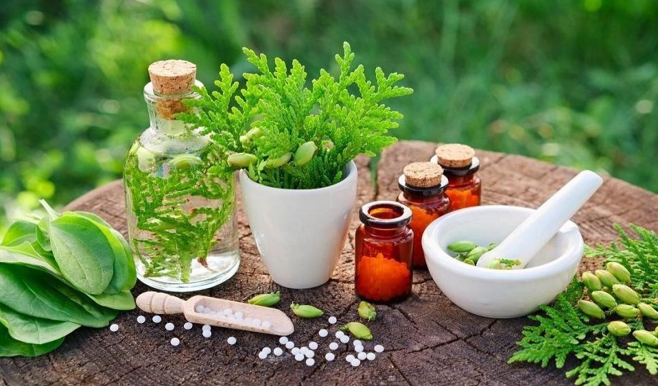 خطرات استفاده نادرست از گیاهان دارویی خطرات استفاده نادرست از گیاهان دارویی