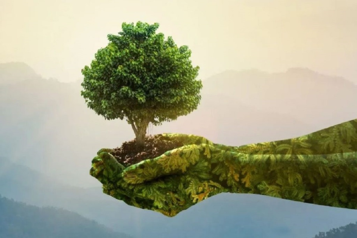 در ایام نوروز چگونه محیط زیست را رعایت کنیم؟