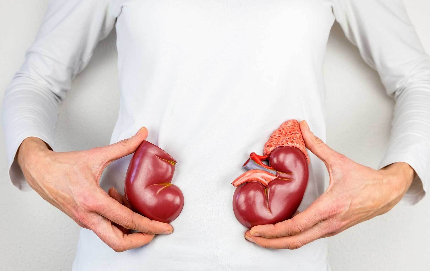 علائم ابتلا به سرطان کلیه کدامند؟ علائم ابتلا به سرطان کلیه کدامند؟