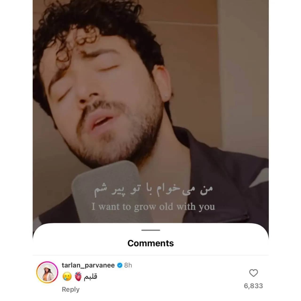 کامنت عاشقانه ترلان پروانه برای شروین حاجی پور کامنت عاشقانه ترلان پروانه برای شروین حاجی پور