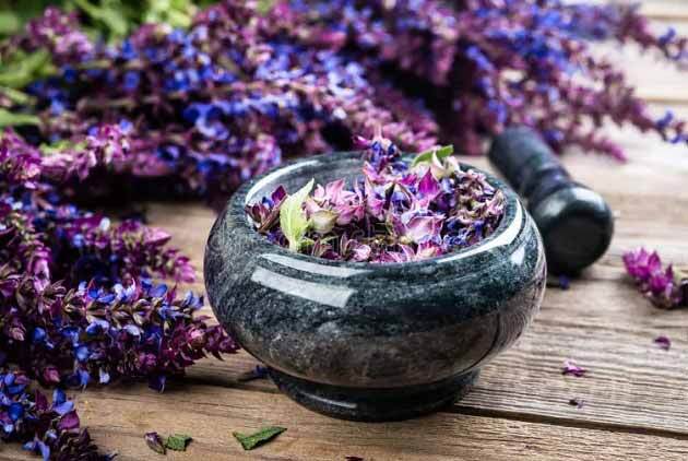 خواص دارویی و غذایی مریم گلی + نحوه استفاده و عوارض خواص دارویی و غذایی مریم گلی + نحوه استفاده و عوارض